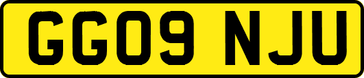 GG09NJU