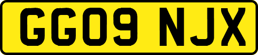 GG09NJX