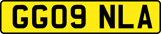 GG09NLA