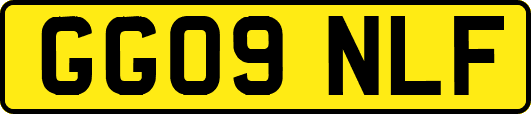 GG09NLF
