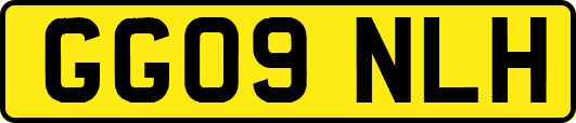GG09NLH