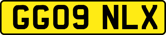 GG09NLX