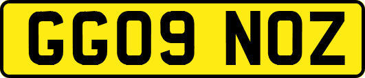GG09NOZ