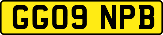 GG09NPB