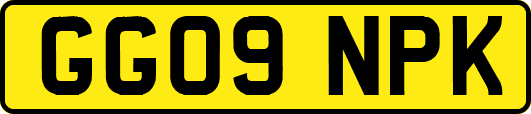 GG09NPK