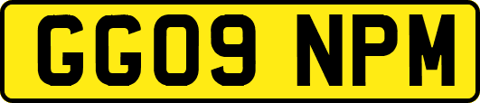 GG09NPM