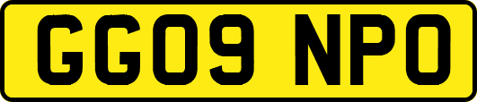 GG09NPO