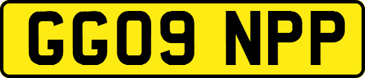 GG09NPP