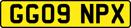 GG09NPX