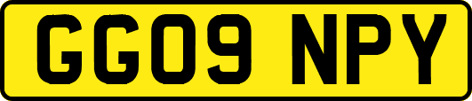 GG09NPY