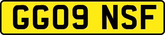 GG09NSF