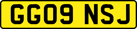 GG09NSJ