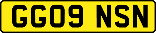 GG09NSN