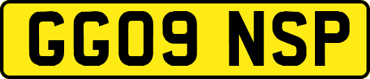 GG09NSP