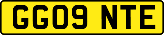 GG09NTE