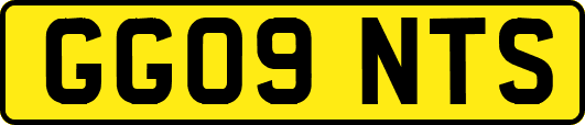 GG09NTS