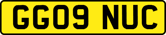 GG09NUC