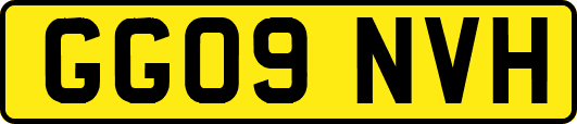 GG09NVH