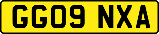 GG09NXA