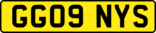 GG09NYS