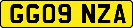 GG09NZA