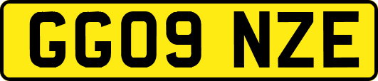 GG09NZE