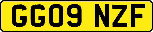 GG09NZF