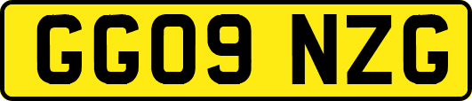 GG09NZG