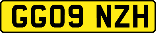 GG09NZH