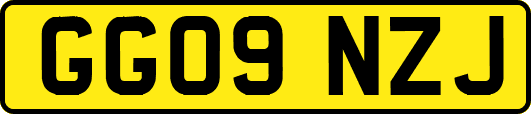 GG09NZJ