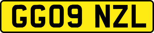 GG09NZL