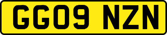 GG09NZN