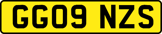 GG09NZS