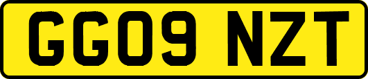 GG09NZT