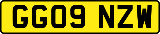 GG09NZW