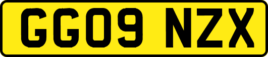GG09NZX