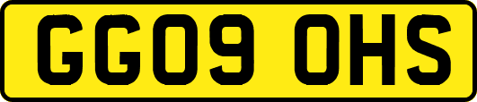 GG09OHS