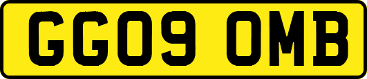 GG09OMB