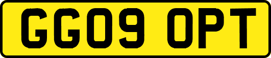 GG09OPT