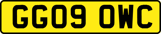 GG09OWC