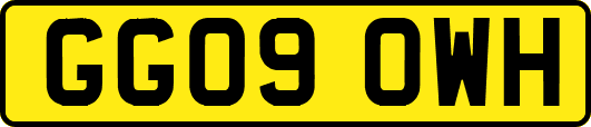 GG09OWH