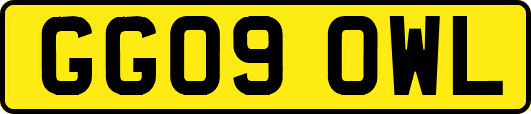 GG09OWL
