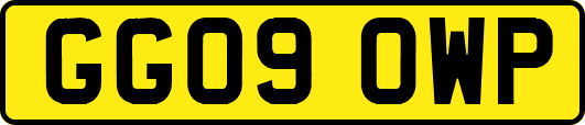 GG09OWP