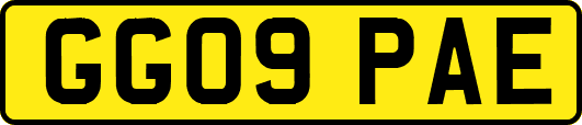 GG09PAE