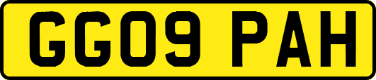 GG09PAH