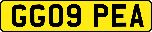 GG09PEA
