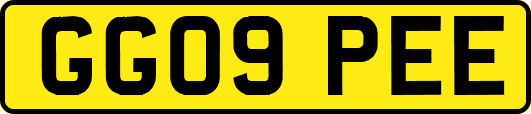 GG09PEE