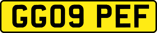 GG09PEF
