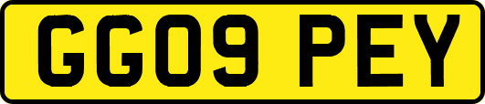 GG09PEY