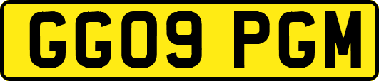 GG09PGM
